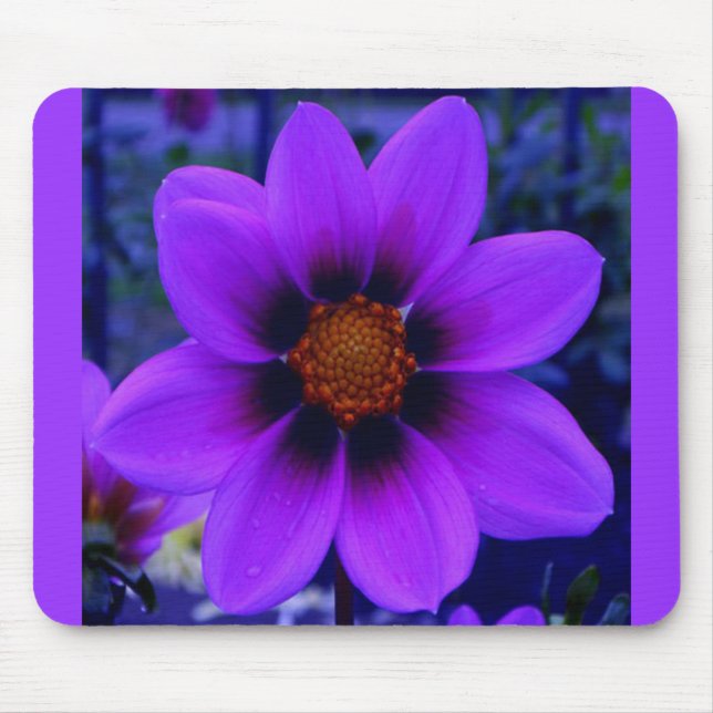 Lila Blume in der Abenddämmerung Mousepad (Vorne)
