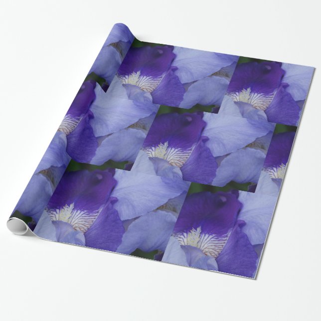 Lila Blume Iris glänzendes Wrapping Paper Geschenkpapier (Ungerollt)