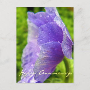 Lila Blume Jahrestag Postkarte