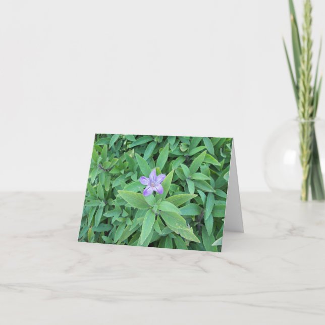 Lila Blume Karte (Vorderseite)