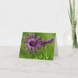 lila Blume Karte