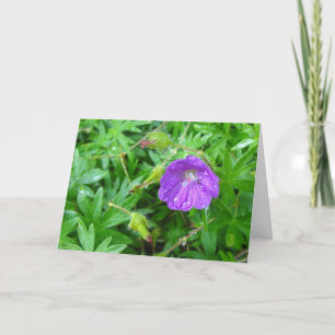 Lila Blume Karte