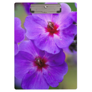 Lila Blume Klemmbrett