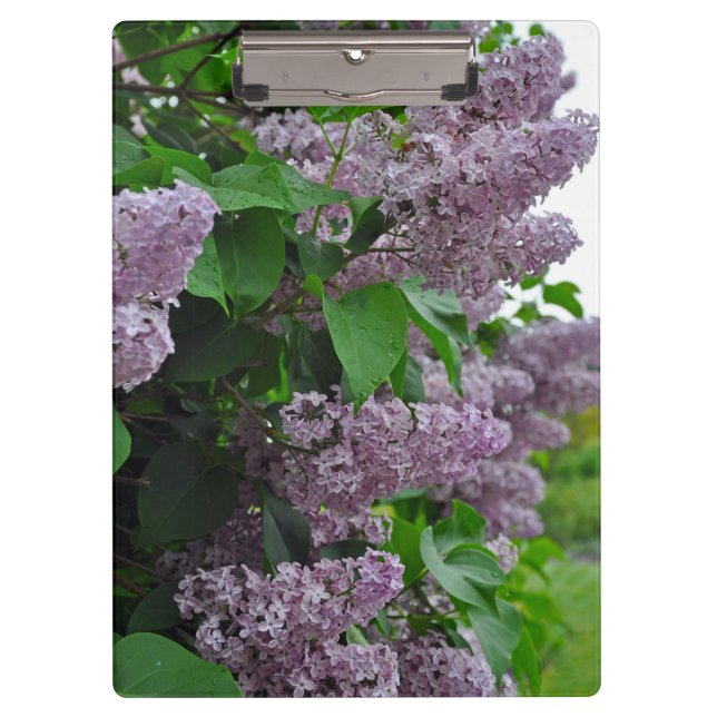 Lila Blume Klemmbrett (Vorderseite)