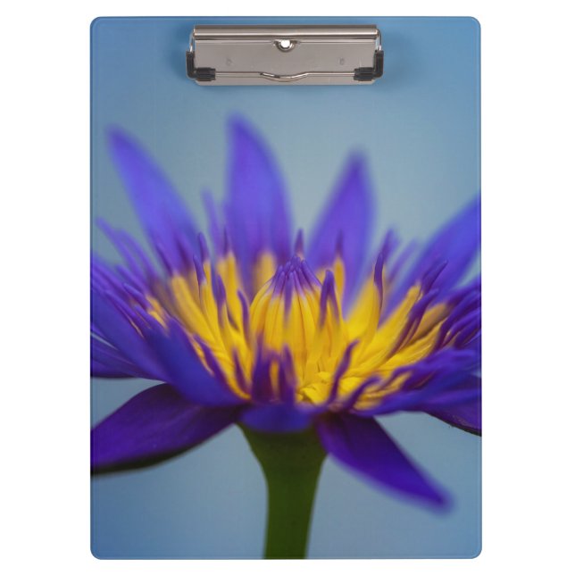 Lila Blume Klemmbrett (Vorderseite)