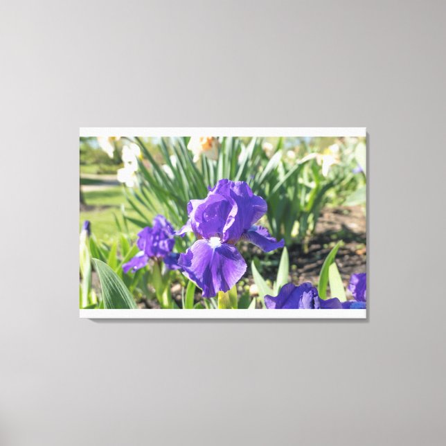 Lila Blume Leinwanddruck (Vorderseite)