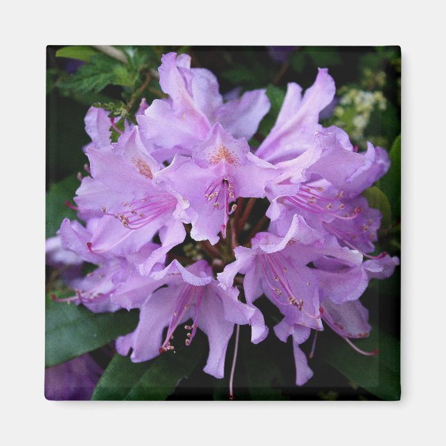 Lila Blume Magnet (Vorne)