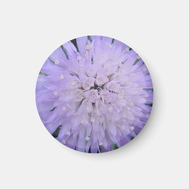 Lila Blume Magnet (Vorne)