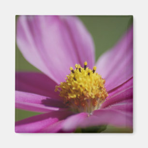 Lila Blume Magnet