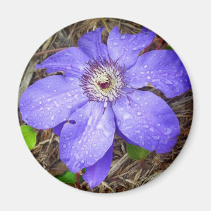 Lila Blume Magnet