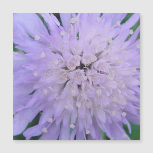 Lila Blume Magnetkarte