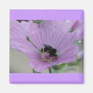Lila Blume mit Biene Magnet