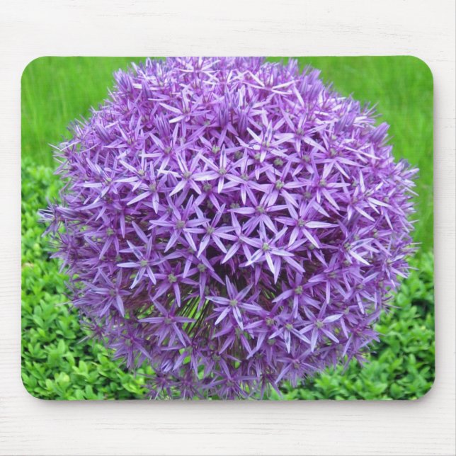 Lila Blume Mousepad (Vorne)