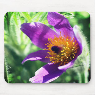 Lila Blume Mousepad