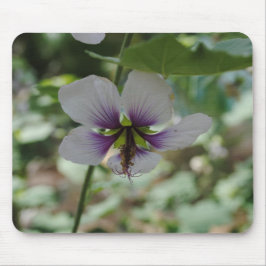 Lila Blume Mousepad