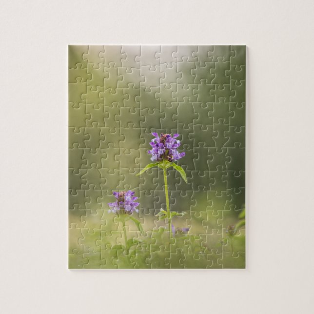 Lila Blume Natur Foto Puzzle (Vertikal)