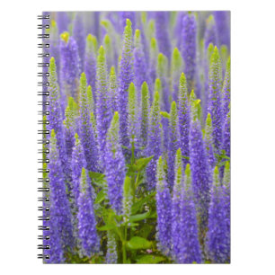 Lila Blume-Notebook Notizblock