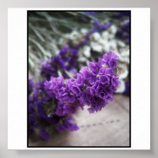 Lila Blume Poster
