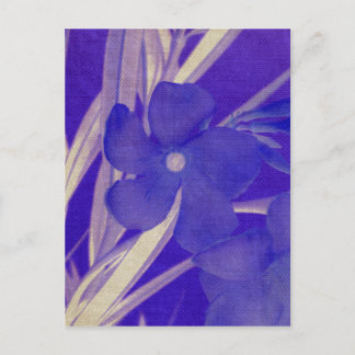 Lila Blume Postkarte
