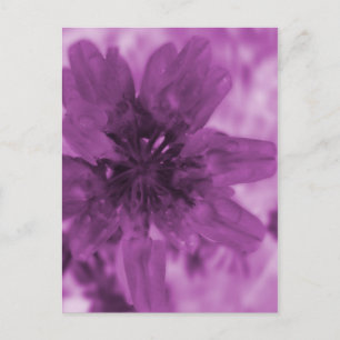 Lila Blume Postkarte