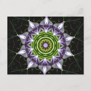 Lila Blume Postkarte