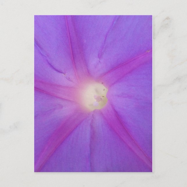 Lila Blume Postkarte (Vorderseite)