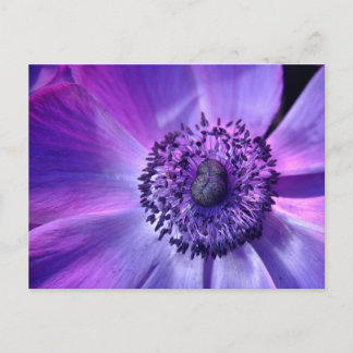 Lila Blume Postkarte
