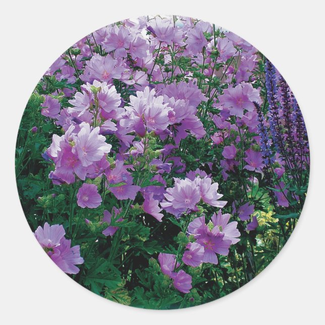 Lila Blume Runder Aufkleber (Vorderseite)