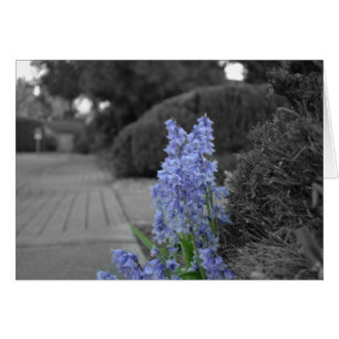 Lila Blume Schwarz-Weiß-Karte