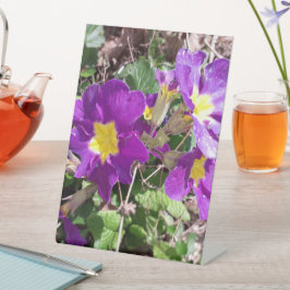 Lila Blume Sockelschild