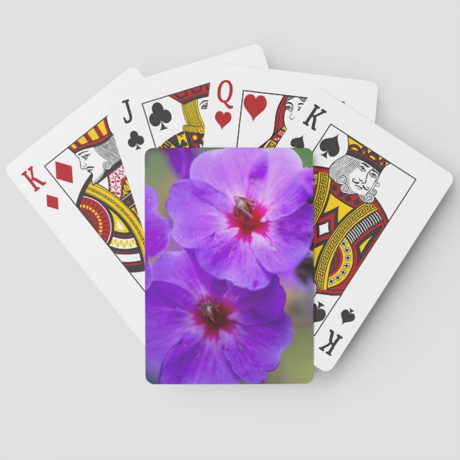 Lila Blume Spielkarten (Rückseite)