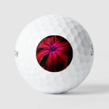 Lila Blume ssf gbcna