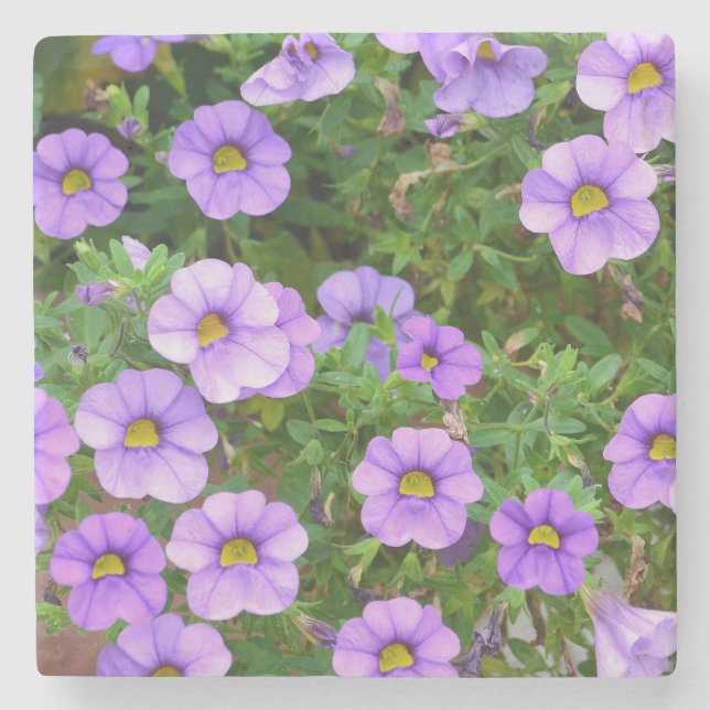 Lila Blume Stone Untersetzer (Vorderseite)