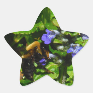 Lila Blume und Hummeln Stern-Aufkleber