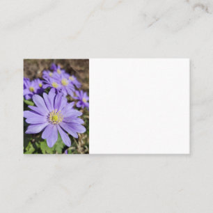 Lila Blume Visitenkarte