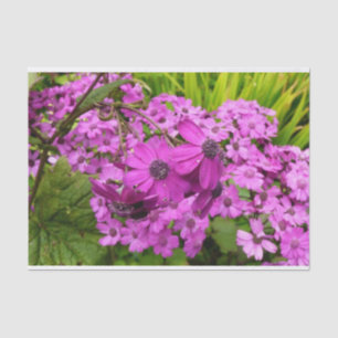 Lila Blumen aus San Francisco Seidenpapier