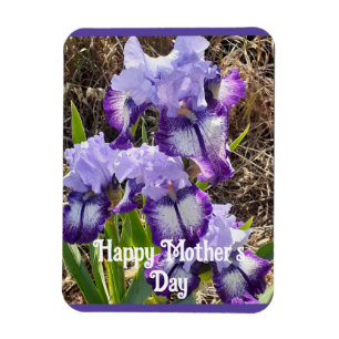 Lila Blumen Florale Iris Iris Muttertagskarte Magnet