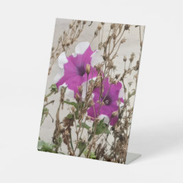Lila Blumen Foto Sockelschild