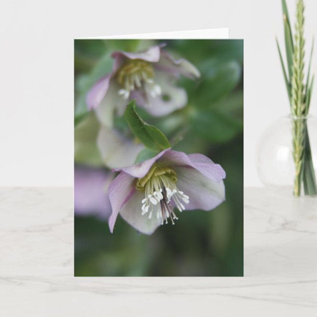 Lila Blumen Grußkarte Ankündigung (Vorderseite)