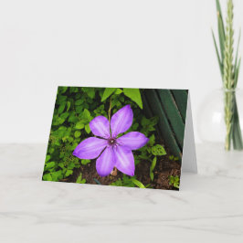 Lila-Blumen-Grußkarte Karte
