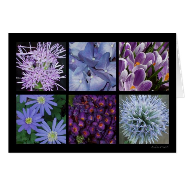 Lila Blumen-Karte (Vorderseite (Horizontal))