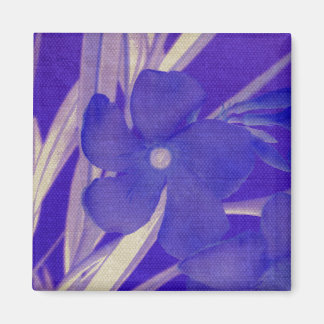 Lila Blumen-Magnet Magnet