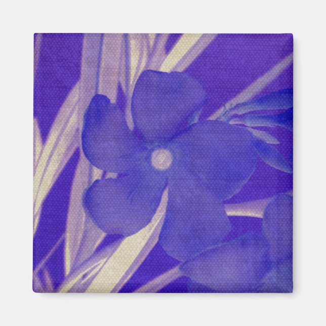 Lila Blumen-Magnet Magnet (Vorne)