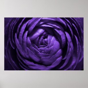 Lila Blumen-Makroschuß Poster