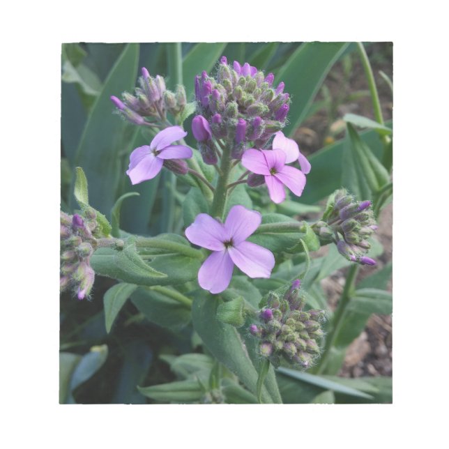 Lila Blumen Notizblock (Vorderseite)