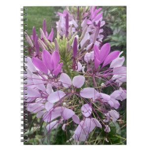 Lila Blumen Notizbuch Notizblock