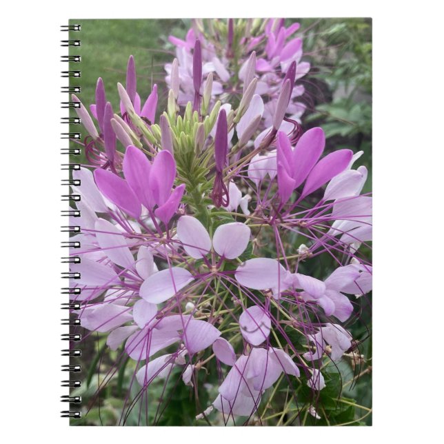 Lila Blumen Notizbuch Notizblock (Vorderseite)