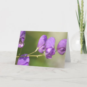 Lila Blumen-Raum-Anmerkungs-Karte Karte