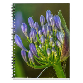 Lila Blumen Spiral Foto Notizbuch Notizblock