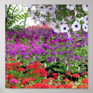 Lila Blumen-Überfluss-Druck Poster